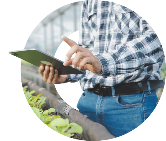 Agencia de marketing estratégica para agroindustria y producción sostenible | Doptus